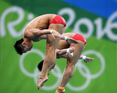 跳水冠军 跳水冠军