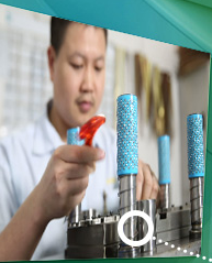 仙踪林在线入口冲压连续模 仙踪林在线入口冲压连续模