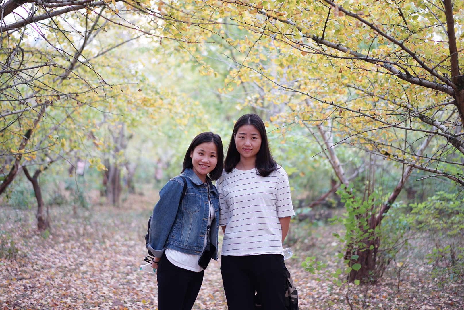 仙踪林视频APP精密·