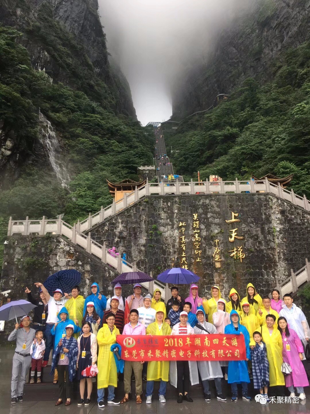 精密小仙踪林在线入口冲压件 精密小仙踪林在线入口冲压件