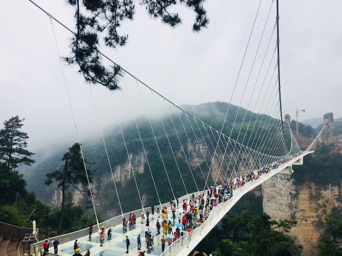 精密小仙踪林在线入口冲压件 精密小仙踪林在线入口冲压件