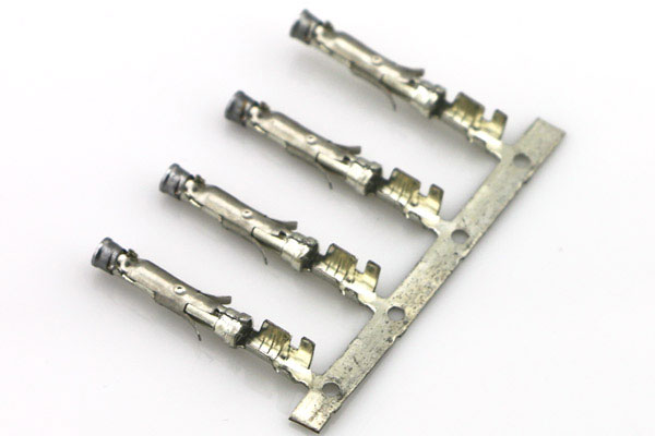 仙踪林在线入口端子 仙踪林在线入口端子