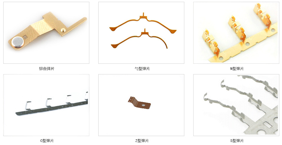 仙踪COSMETOLOGY大陆