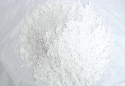 造纸级仙踪林在线入口